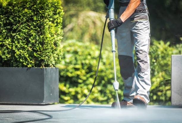 Best Solar Panel Cleaning  in Village Of The Branch, NY