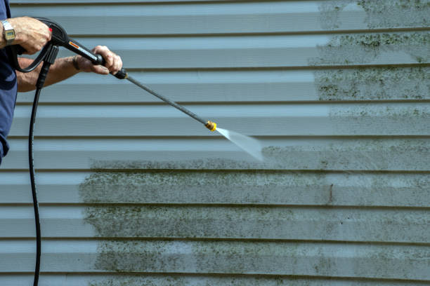 Best Patio and Deck Pressure Washing  in Village Of The Branch, NY